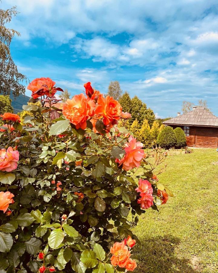 Etno Selo Vranesa Zlatar Hotel Nova Varoš Екстериор снимка